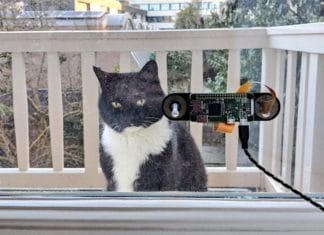A friendly cat, a Raspberry Pi, and a Basque engineer: what could go wrong? Sistema de detección del gato de la familia
