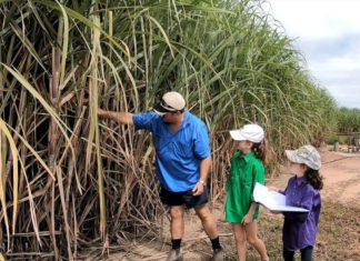Basque ‘Foral’ Law and its “application” in Australia in the fight against the gender gap Ayr sugar cane grower Frank Mugica is teaching his daughters so they can inherit the family business. (ABC: Dwayne Wyles)