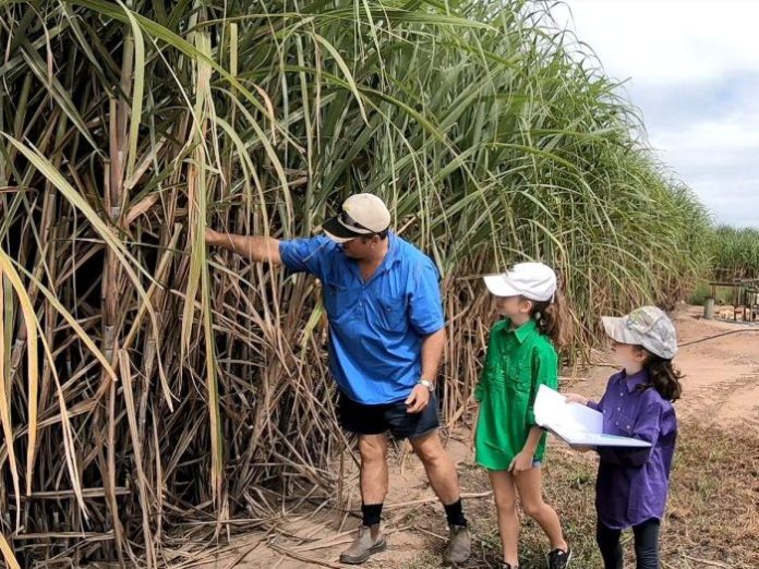 Ayr sugar cane grower Frank Mugica is teaching his daughters so they can inherit the family business. (ABC: Dwayne Wyles)