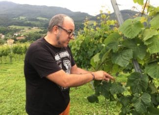 From Denmark: the Basques and their cuisine are an inspiration and an example for the Danes Verdens Bedste Fødevarer Basque Gastronomy