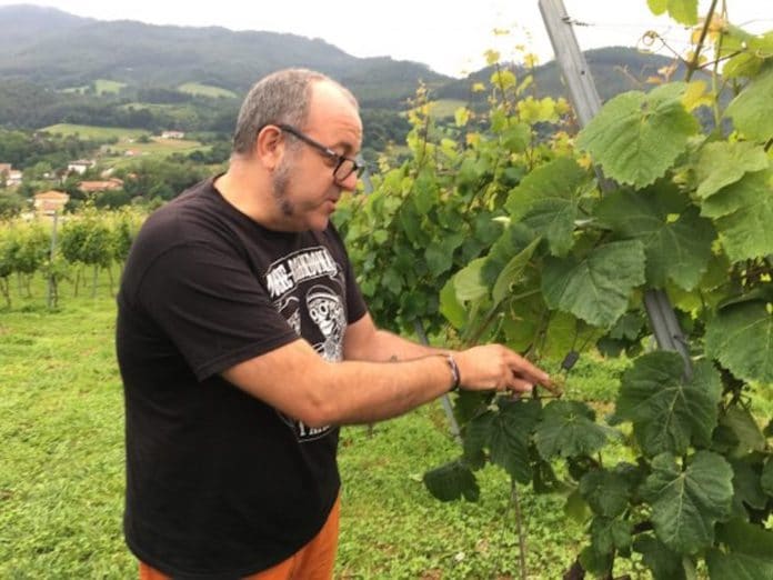 Verdens Bedste Fødevarer Basque Gastronomy