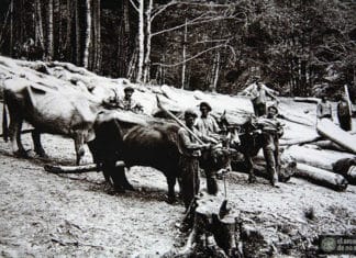 The True History of Olentzero Imagen de leñadores vascos - El arca de no se