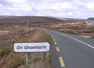 Gaeliko vs Euskara… euskarak irabazten du. Irlandatik eginiko azterketa Euskera vs Gaélico. Una visión desde Irlanda