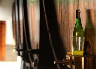 Txapela, the Basque cider made in Argentina from Patagonian apples Sidra vasca hecha en Patagonia