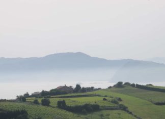 Txakolina, «beste» euskal ardoa Getariako Txakolina-2-Carlos Octavio Uranga-Flikr