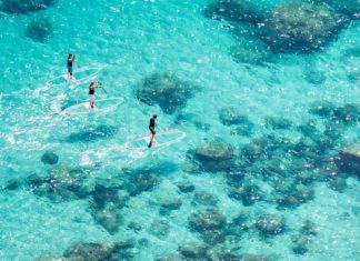 A Basque company has created the first transparent SUP board tabla transparente de SUP de Loeva