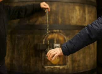 New York Times eta CBS euskal sagardoaz pentsatzen ari dira, «Esker Emate Eguna» ospatzeko Txotx en una sidrería vasca