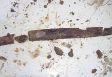 Ezkuztako Madeleine hagatxoetako aurrekontzeptuak eta «esentzia nazionala» Estado original de la varilla 3 en el momento de su descubrimiento (fotografía: Antxieta Arkeologia Taldea).