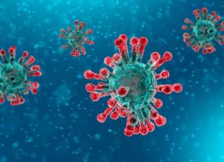 A Navarrese microbiologist puts the coronavirus into perspective. Less panic and more facts Coronavirus Covid-19