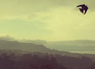 Amaia Gabantxo. Video-poems by Basque poets translated into English (3 & 4) #BasqueVideoPoems Amaia Gabantxo #BasqueVideoPoems (3y4)