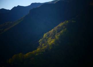 Spring in the Irati Forest: Images to Enjoy from Home Clair obscur, au petit matin, en montant au sommet © Crédit photo : Bertrand Lapègue