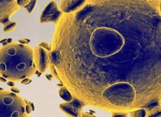 Artificial intelligence to anticipate the need for beds in the ICUs of the Basque Health System Sherpa osakidetza coronavirus