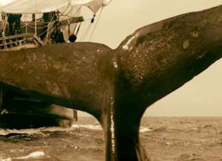 “La ruta del Sain”: a historical novel about the journey of 17th-century Basque whalers La ruta del sain. Novela histórica sobre balleneros vascos escrita por Alvaro Amieiro Fonseca