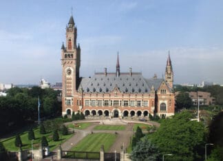 A Basque at the International Court of Justice in The Hague