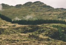 «AI for Earth» de Microsoft. Cuatro de las cinco iniciativas que apoya en el Estado, son vascas Proyectos apoyados por Microsoft