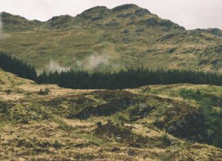 “AI for Earth” from Microsoft: Four of the five initiatives supported in Spain are Basque Proyectos apoyados por microsoft