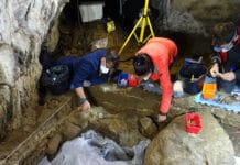 Isturizko (Nafarroa Beherea) mamut-ehiztariek duela 30.000 urte utzi zuten «arrastoa» Miembros del grupo de investigación en plena excavación. Foto- UPV:EHU