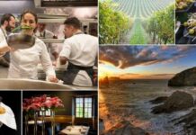 «The 50 Next» a punto de celebrar su primera edición, y será en Bilbao Regalos gastronómicos que el País Vasco ha dado al mundo culinario