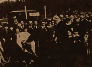 The Tree of Guernica, the Basque seed that flourished throughout Uruguay (article and video) Plantación del retoño del Árbol de Gernika Montevideo 1019