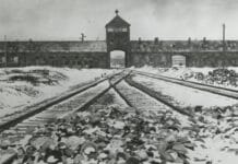 Día del Holocausto Judío. El nacionalismo vasco ante el nazismo en los años 30 Auschwitz el día de su liberación