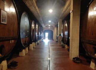 A look at the Basque Country from New York, focusing on San Sebastian and cuisine Sideria Petritegi Katelyn Simone