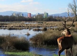 ‘La Repubblica’ publishes a magnificent report on Vitoria and the Rioja Alavesa Vista de Vitoria desde el anillo verde (Foto D. Llano)