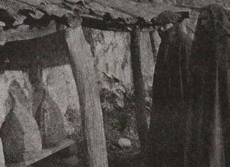 Informing the bees of the death of a relative is an ancient Basque tradition Comunicación, por la viuda, a las abejas de la muerte del etxeko-jaun del caserío y presentación del joven heredero. Comienzos S XX. Colección Bernardo Estornes Lasa