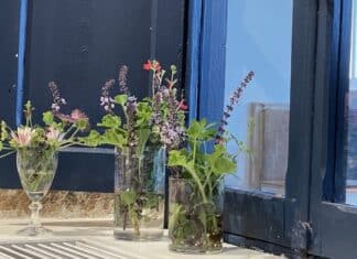 Hamarratz Restaurant in Zumaia, a fortuitous gastronomic adventure Restaurante Hamarratz - ventana