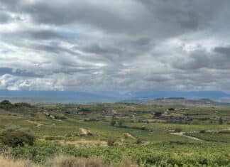 “Viewpoints” The grape harvest in the Rioja Alavesa I Vistas desde un viñero de Rioja alavesa