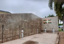 Un frontón frente a la Gran Barrera de Coral australiana