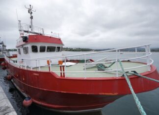 Pesca sostenible, conservas y Bermeo: piezas en la lucha contra el cambio climático pesca en Bermeo, conservas y cambio climático