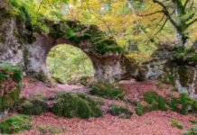 The beauty of the Entzia Mountains in Araba, as told in Argentina INFOBAE Arco de Zalamportillo, sierra de Entzia, Araba, País Vasco (ShutterStock)