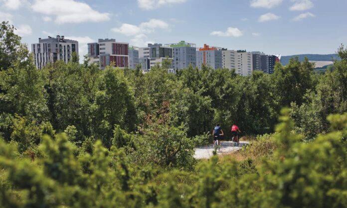 The Guardian: Vitoria-Gasteiz líder mundial en política verde urbana