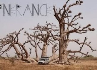 ITINERANCE. Un viaje de seis meses desde el País Vasco hasta Senegal ITINERANCE narra un viaje de seis meses desde el País Vasco hasta Senegal